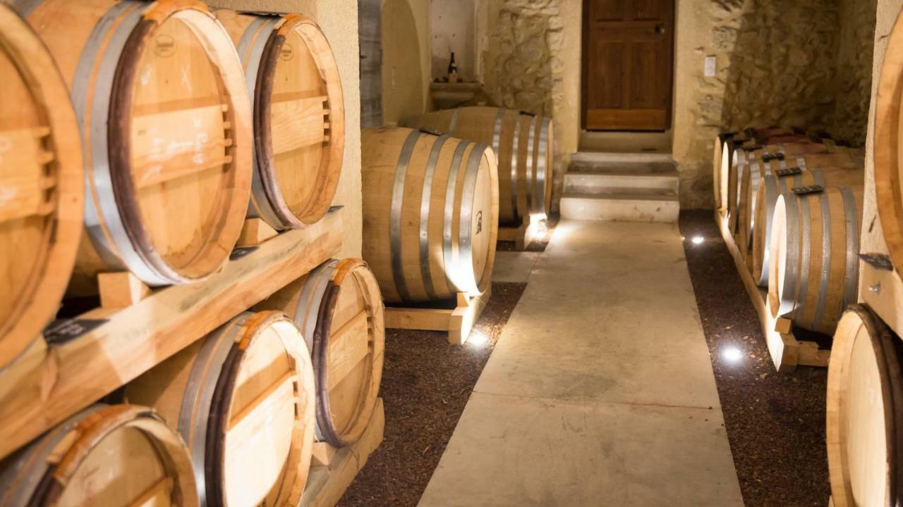 Chateau La Croix Des Pins Мазан Экстерьер фото